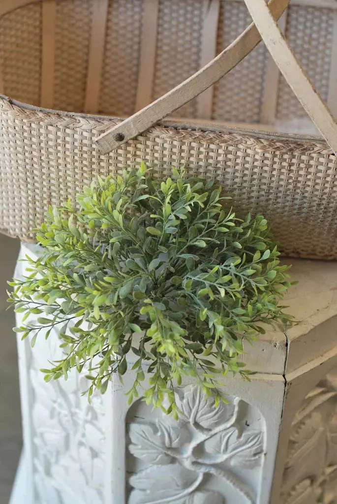 12-Inch Basil Boxwood Half-Sphere Topiary 1