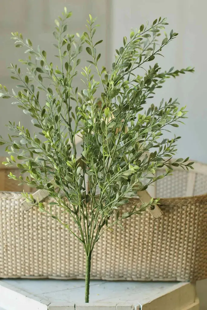 22.5-Inch Full Basil Boxwood Bush Topiary 1