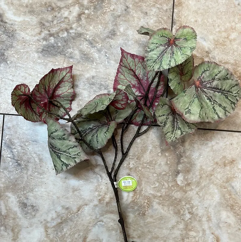 30-Inch Light Green Begonia Leaf Spray For Floral Arrangements 1