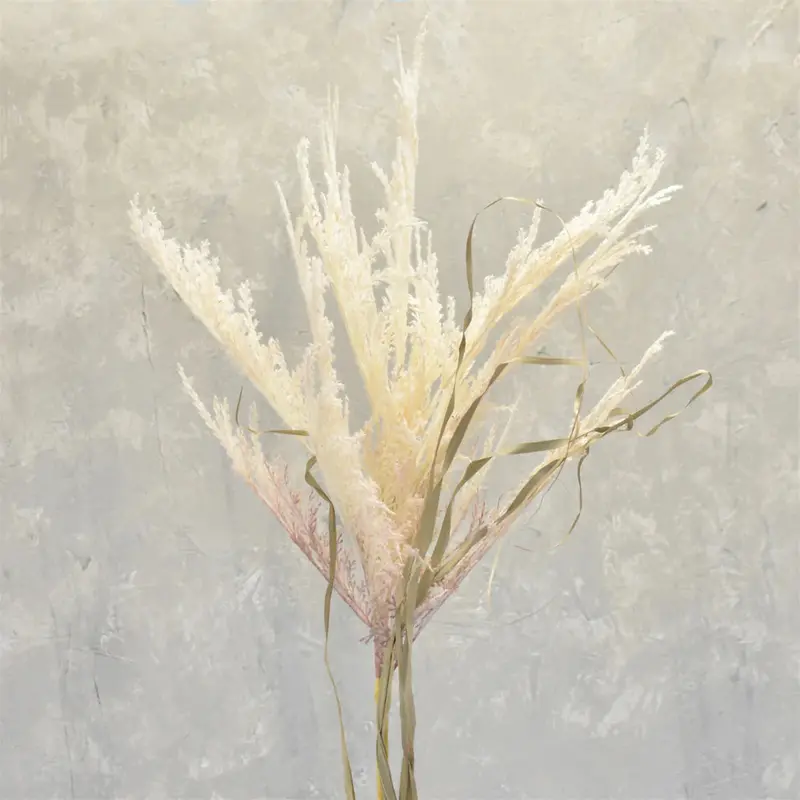 51-Inch Cream Wild Pampas Grass Spray For Boho Home Decor 1