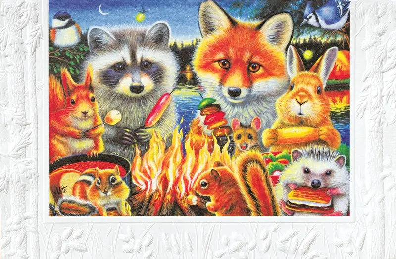 Camping Adventure Birthday Card 1