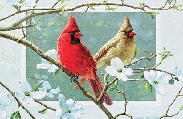 Cardinal And Dogwood Birthday Card 1