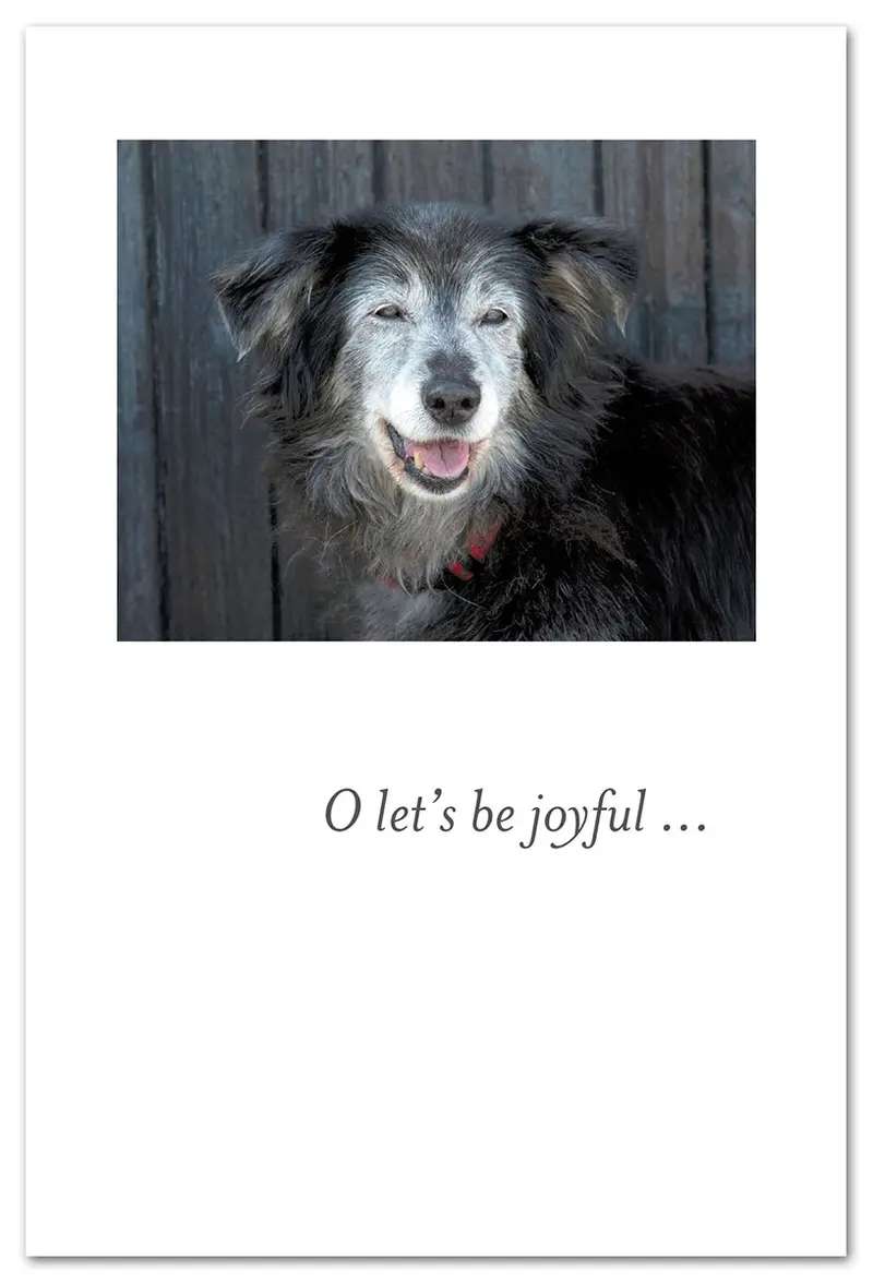 Celebratory 'Happy Birthday To Your Senior Dog' Card 1