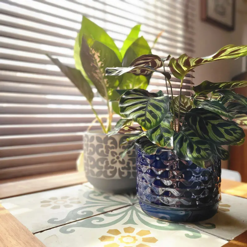 Ceramic Dahlia-Print Tile Pot 1