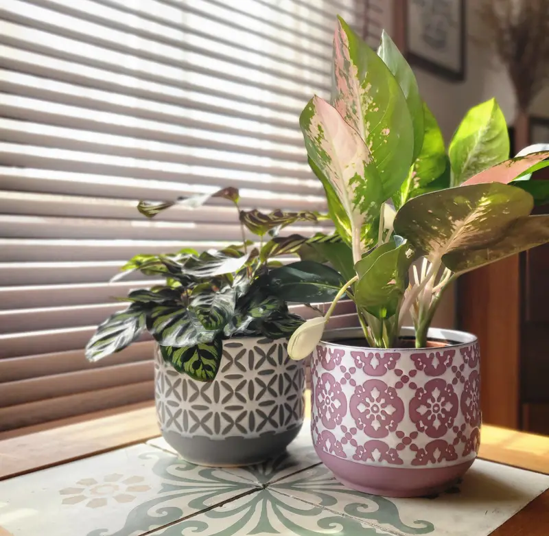 Ceramic Pot With Cross-Tile Motif 1