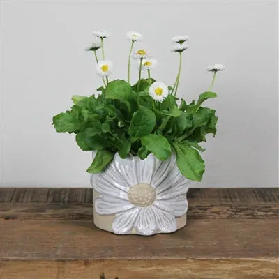 Daisy Motif Ceramic Cache Pot 1