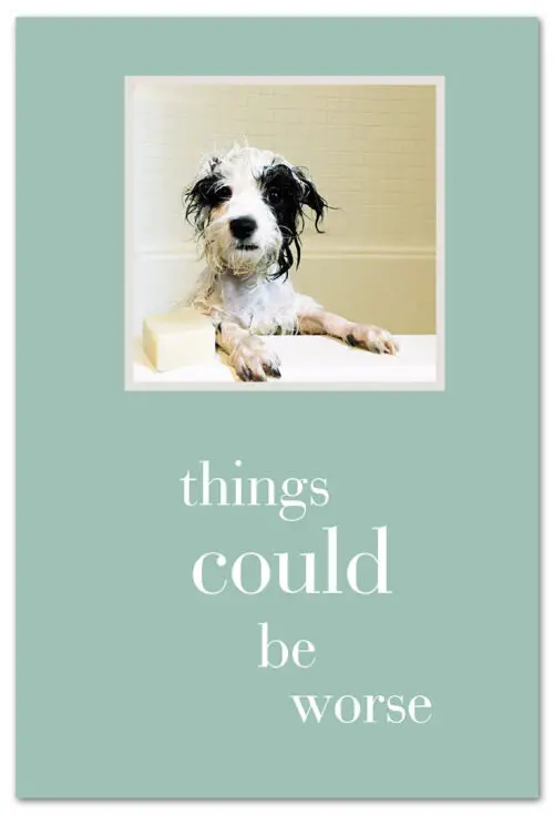 Dog In Bathtub Get Well Greeting Card 1