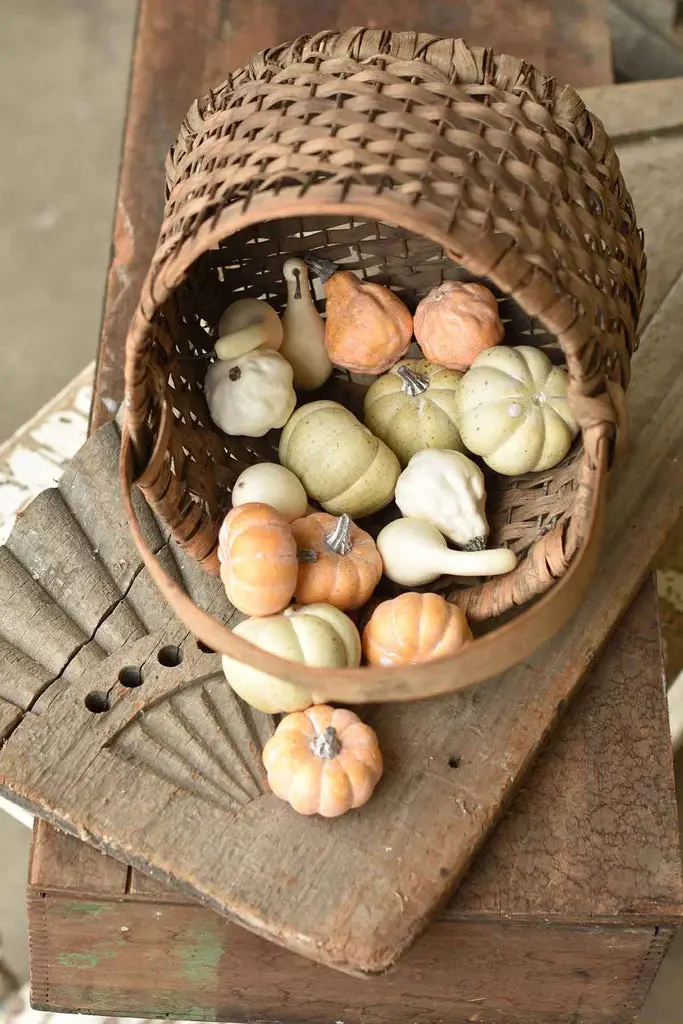 Fall'S Folly 16-Piece Mini Pumpkin Decor Set 1