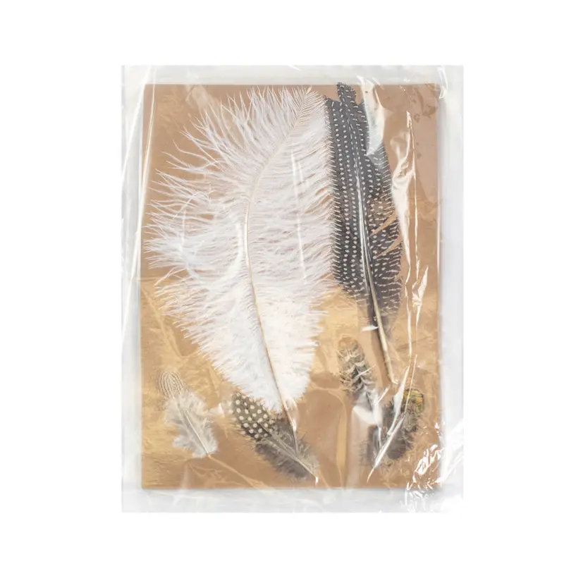 Feather Accent Decor Collection – Plume-Inspired Home Styling 1