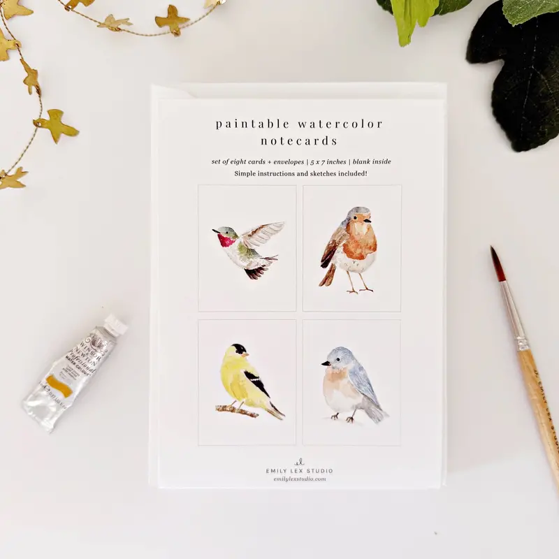 Hand-Paintable Backyard Bird Notecard Set 1