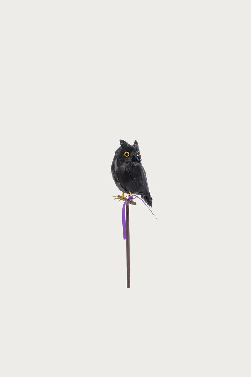 Mini Owl Decorative Sculpture – Matte Black Finish 1