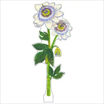 Passion Flower Acrylic Single Flower – Exotic Botanical Home Decor 1