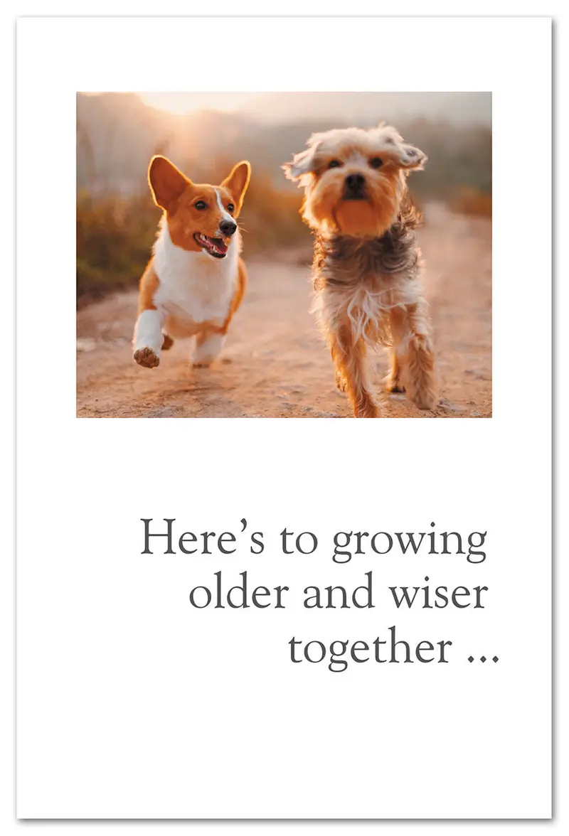 Playful Dogs Running Birthday Card – Joyful Canine Companionship Theme 1