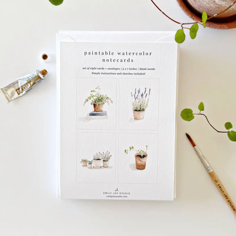 Potted Plant Illustration Paintable Cards 1