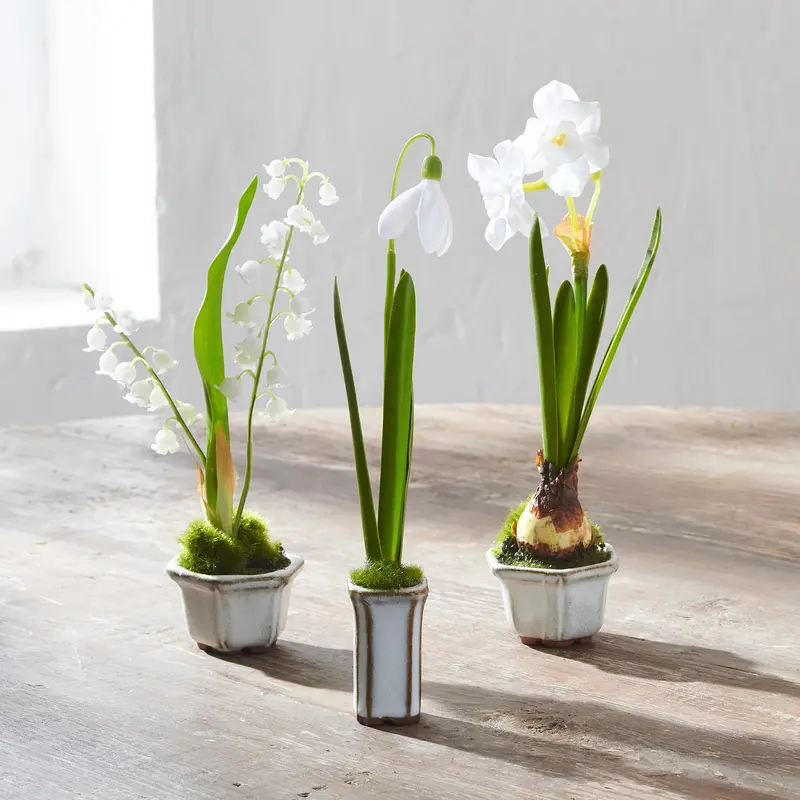 Single Narcissus Stem In Decorative Cachepot 1