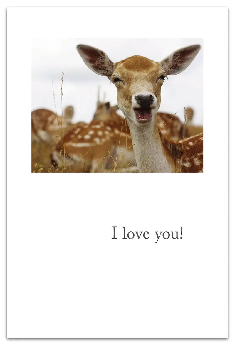 Smiling Fallow Deer Birthday Card – Gentle, Nature-Inspired Celebration 1