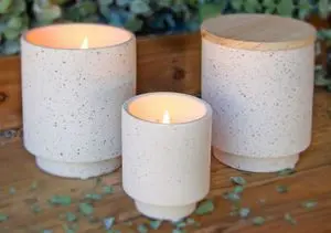 Swan Creek Soy Candle Set – Simply Classic Collection 1