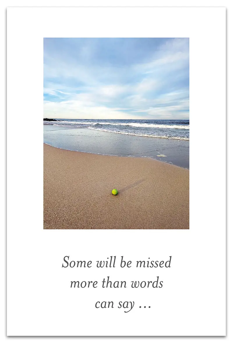 Tennis Ball On Sandy Shore Pet Loss Sympathy Card 1
