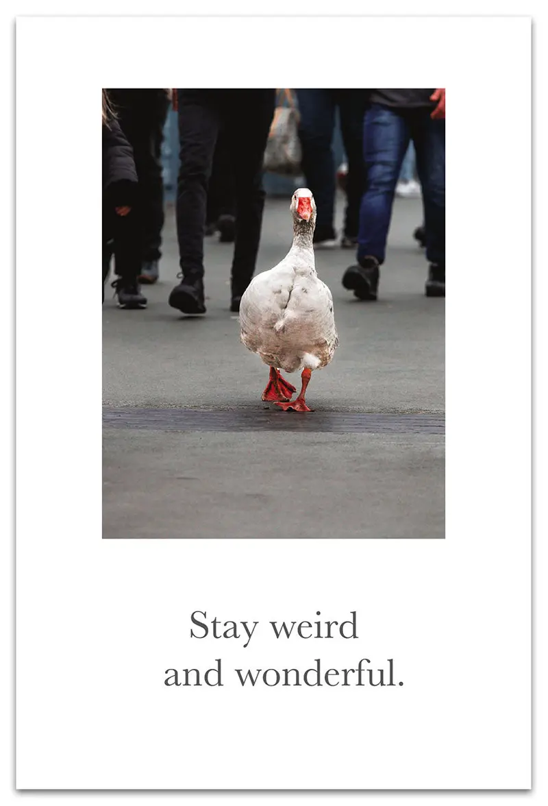 Urban Goose Themed Birthday Card 1