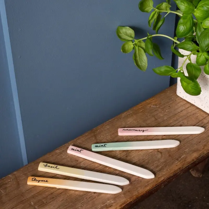 Watercolor-Style Herb Identification Markers 1