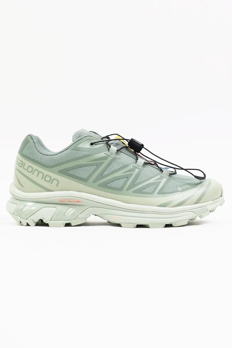 Xt-6 Gtx Hiking Sneaker – Desert Sage, Lily Pad & Laurel Wreath 1